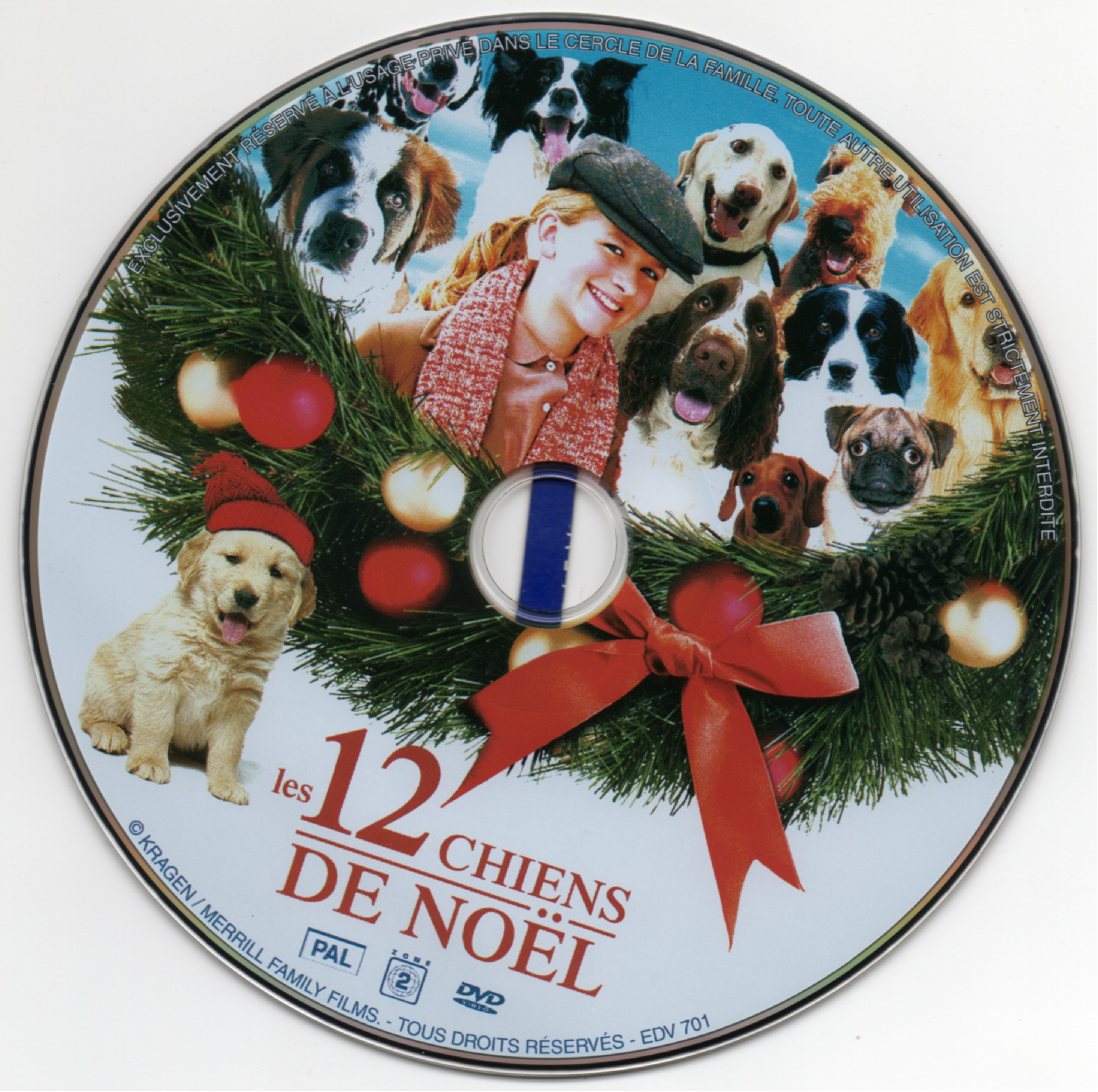 Les 12 chiens de Noel