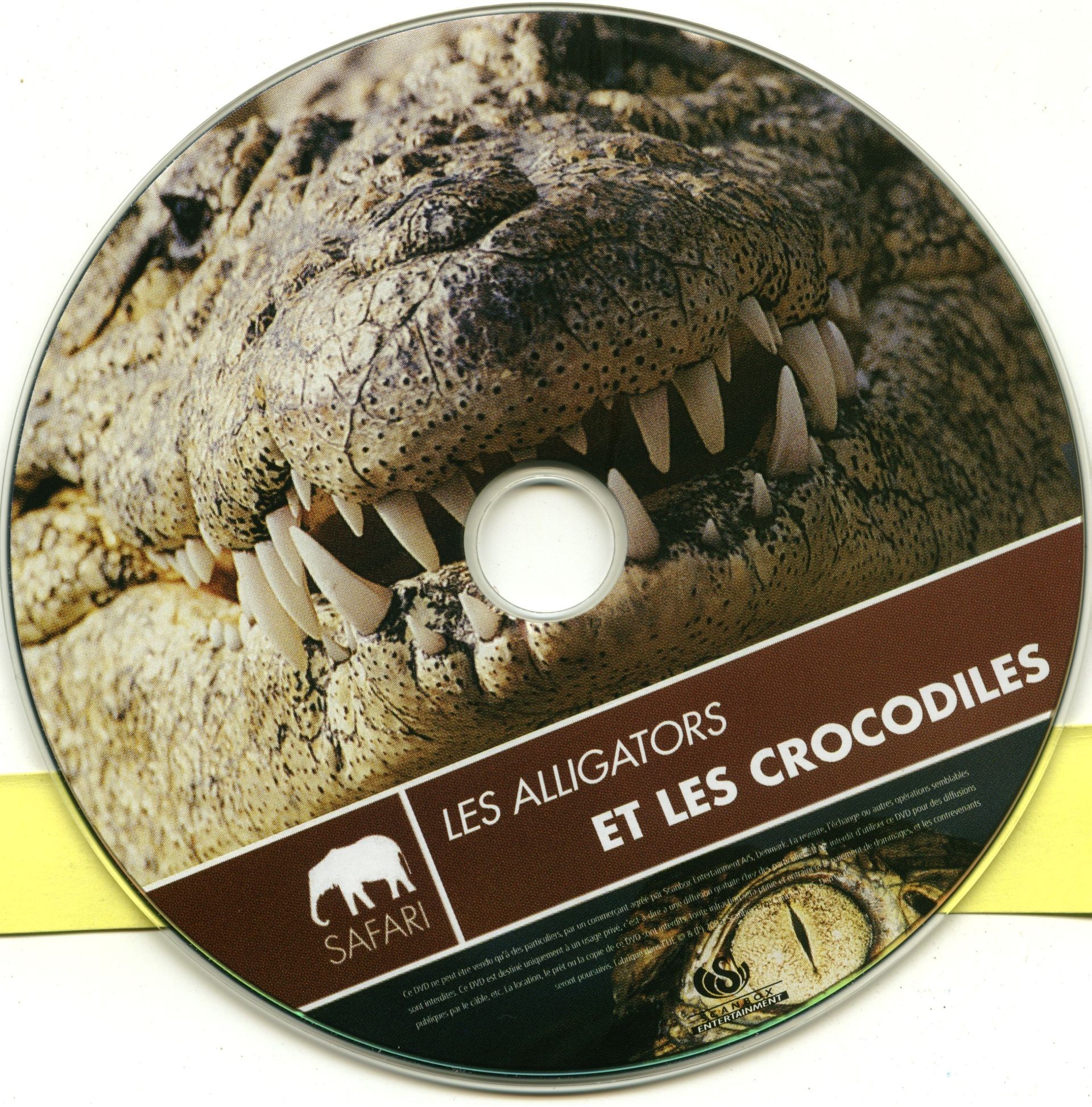 Les alligators et les crocodiles