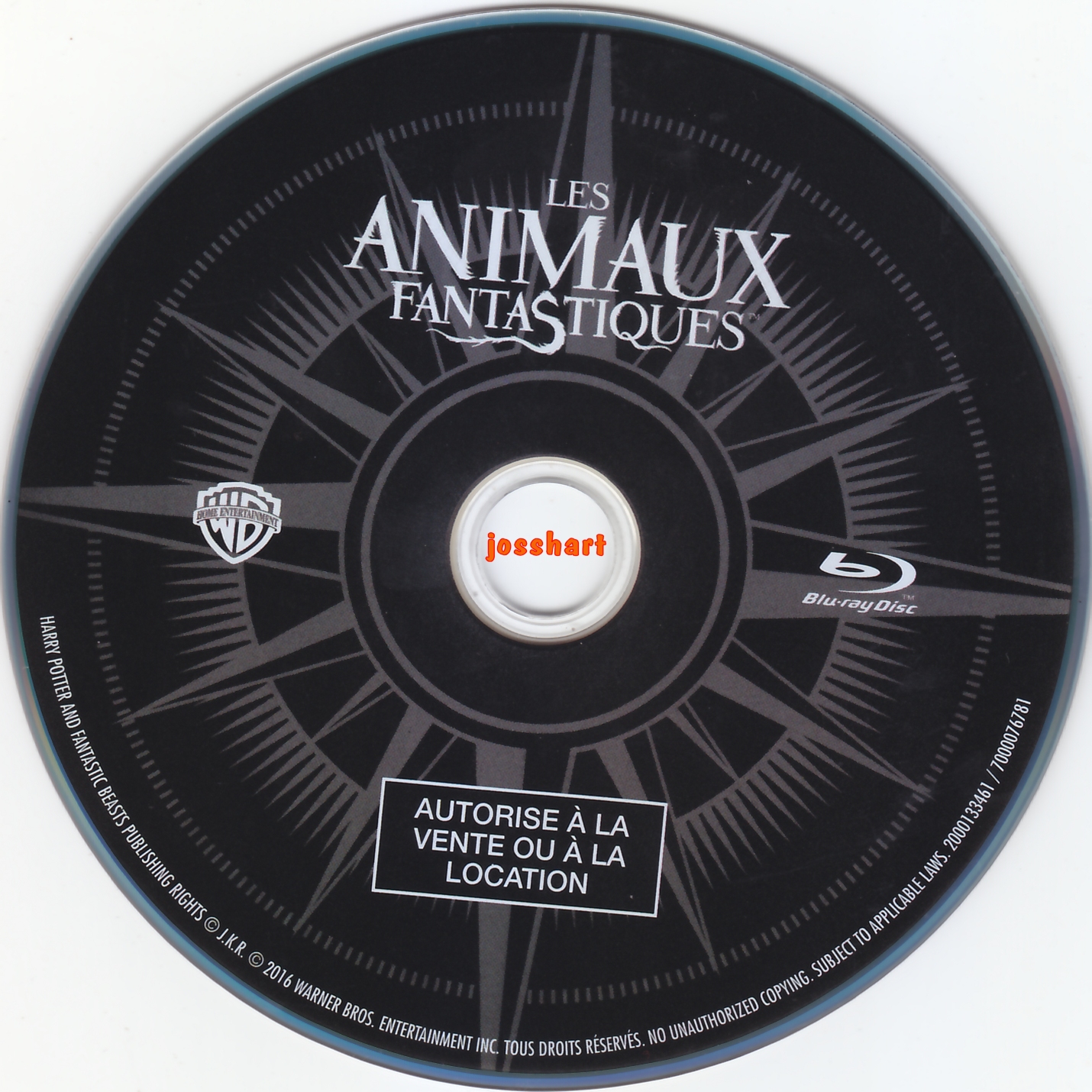 Les animaux fantastiques (BLU-RAY)