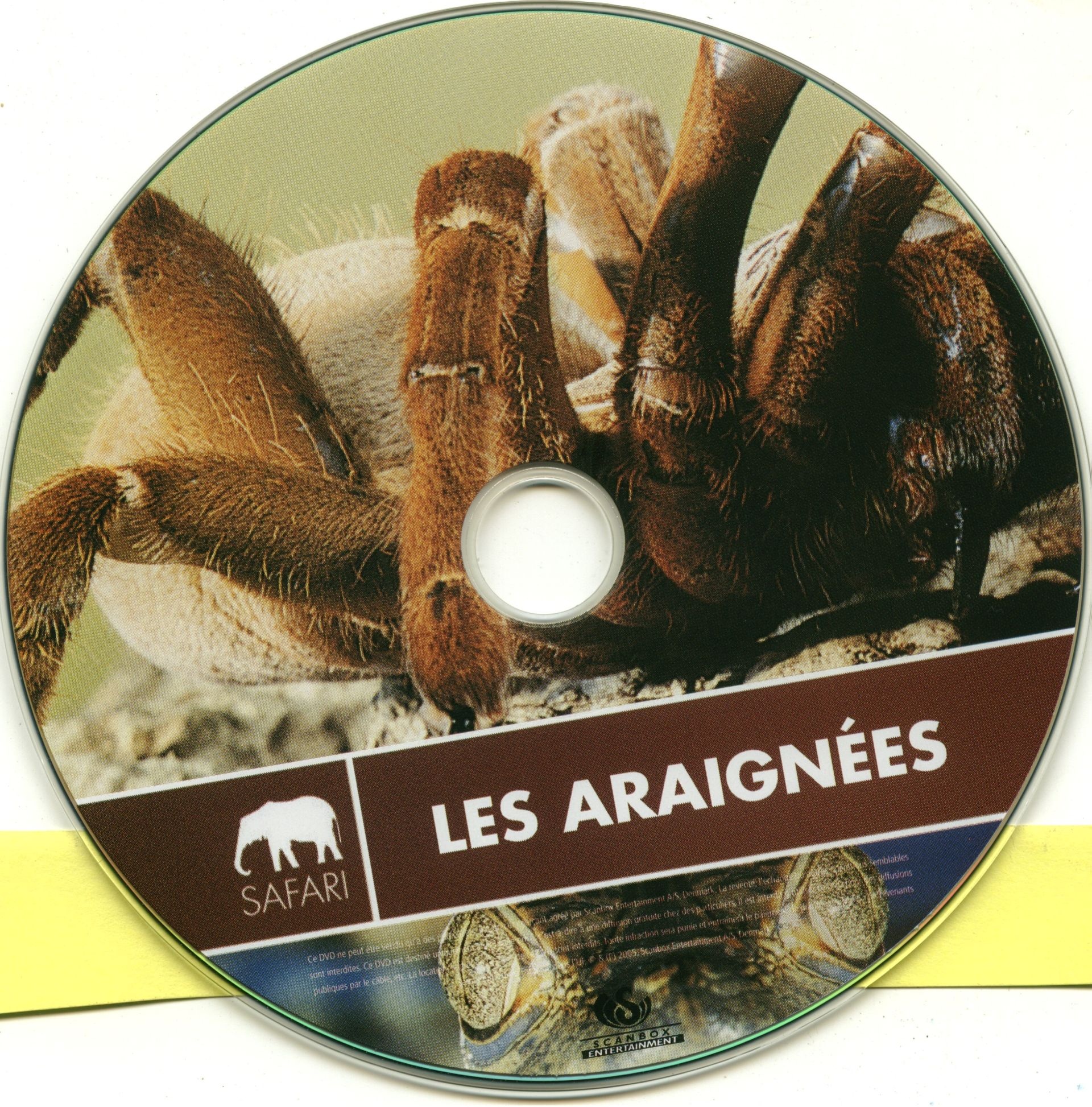 Les araignes (documentaire)