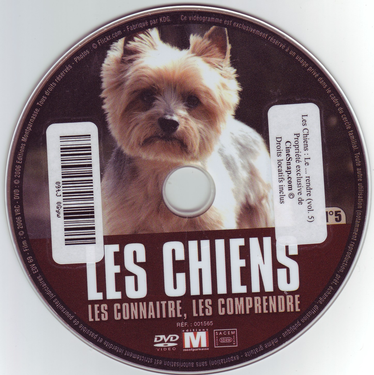 Les chiens