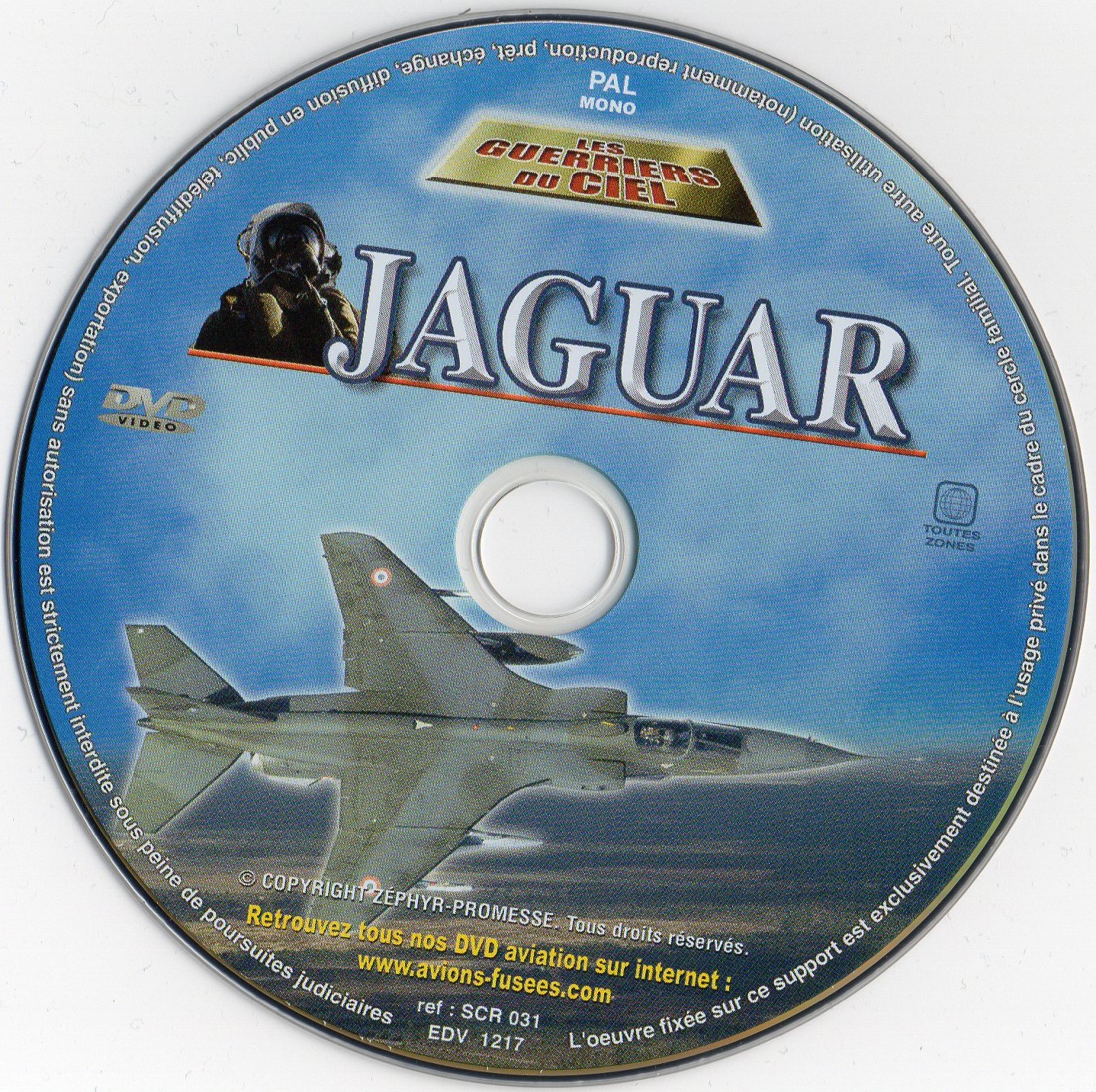 Les guerriers du ciel - Jaguar