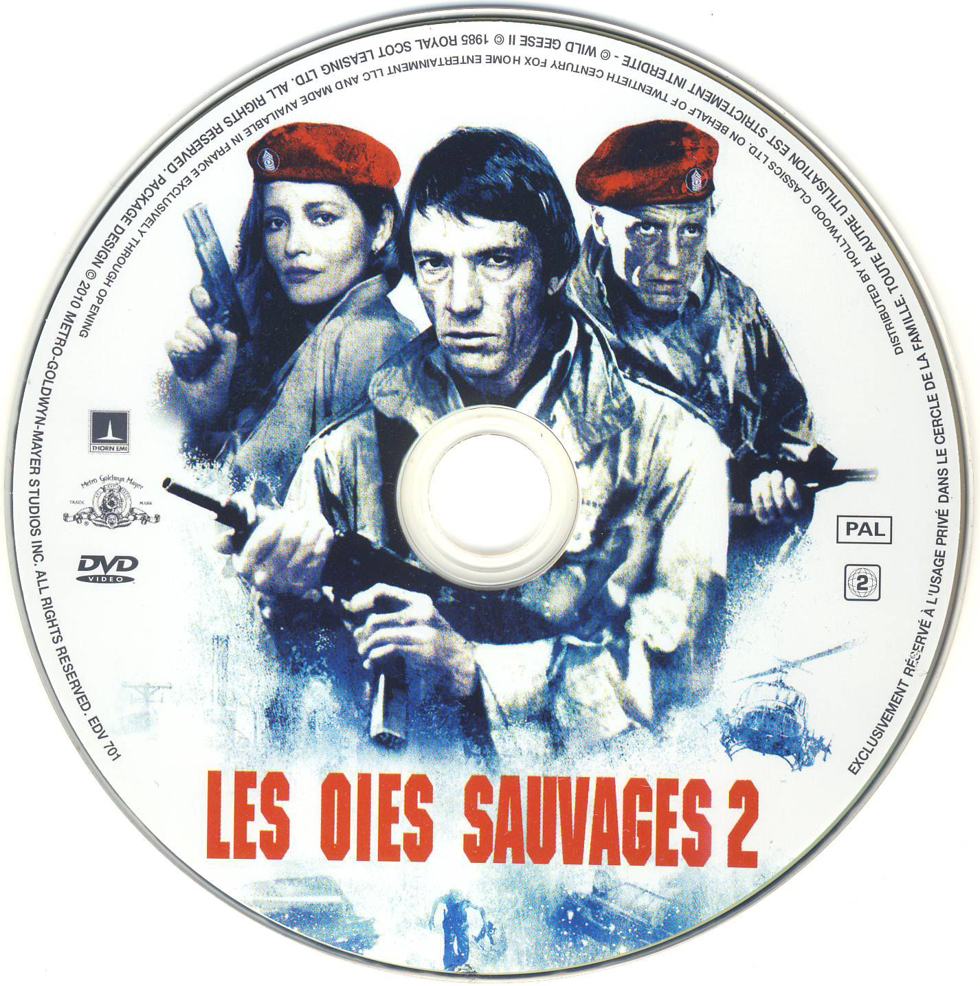 Les oies sauvages 2