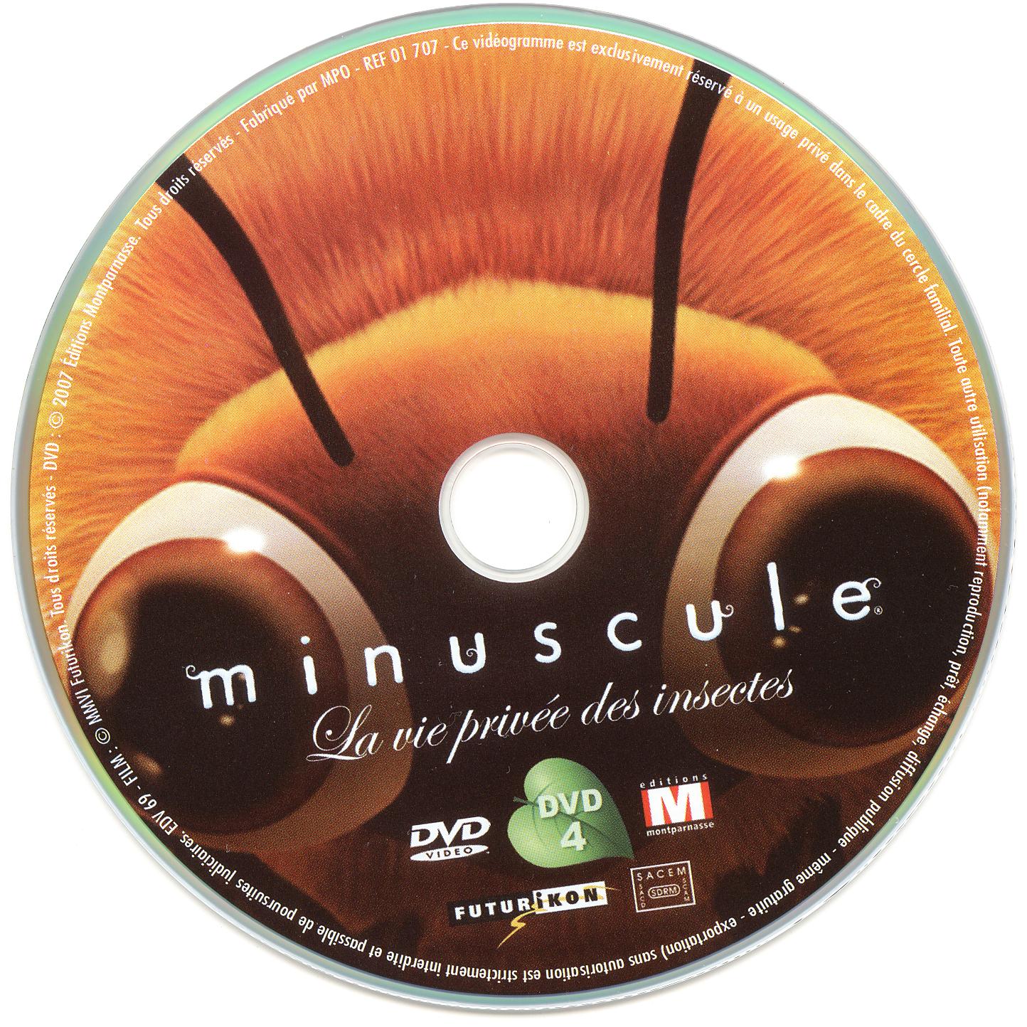 Minuscule DVD 4