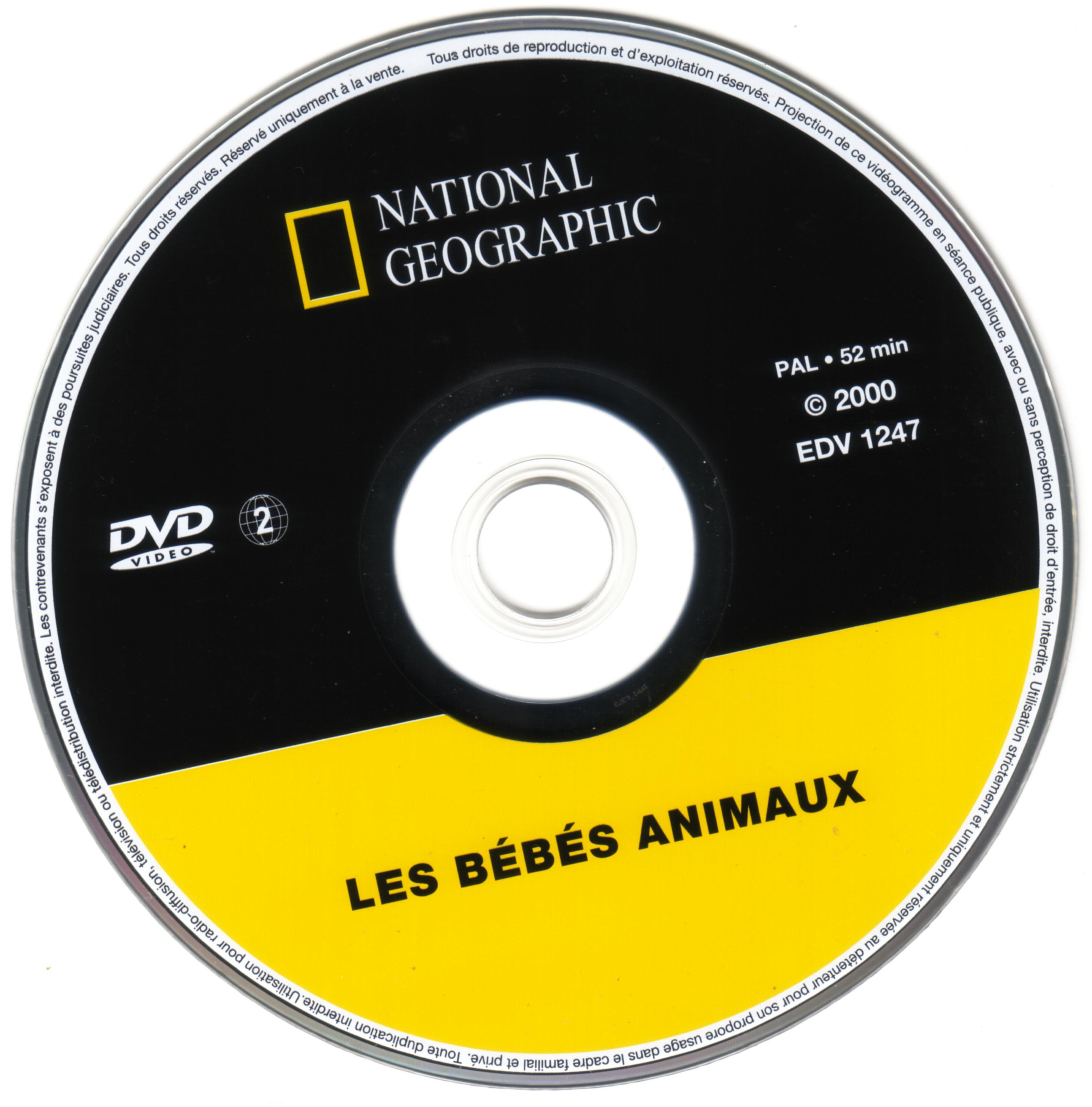 National Geographic - Les bbs animeaux
