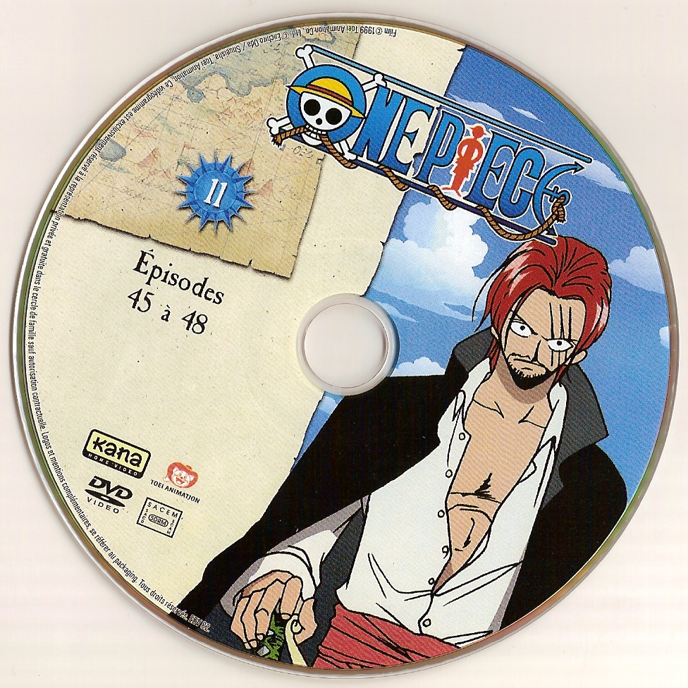 One piece DISC 11