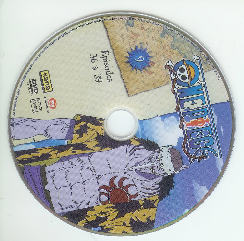 One piece DISC 9