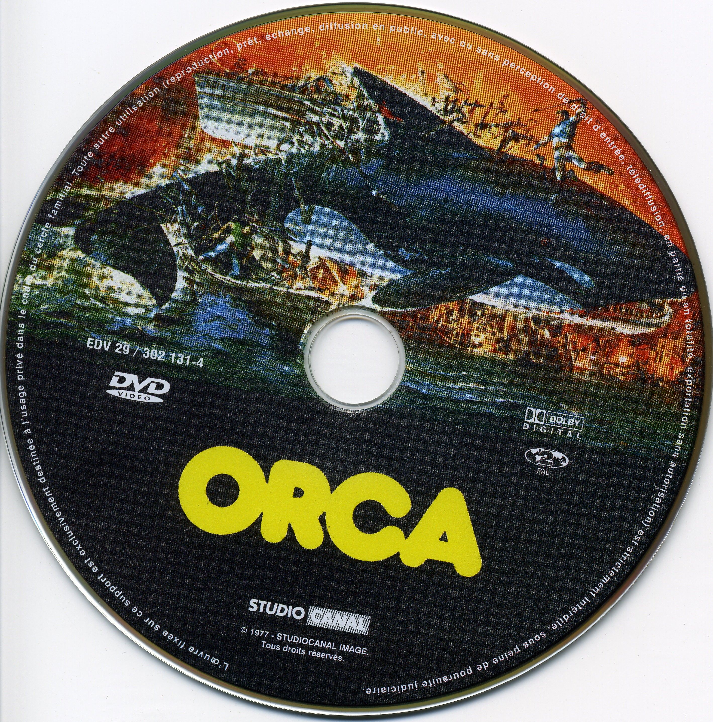 Orca