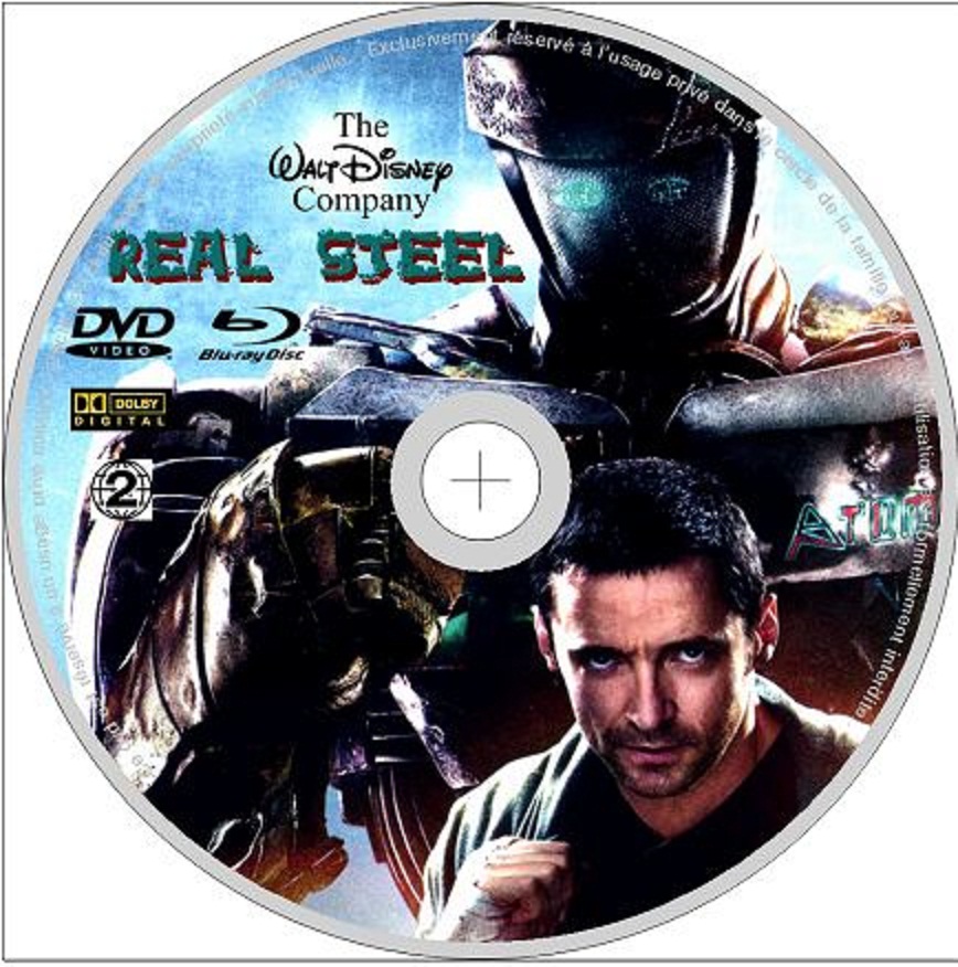 Real steel custom