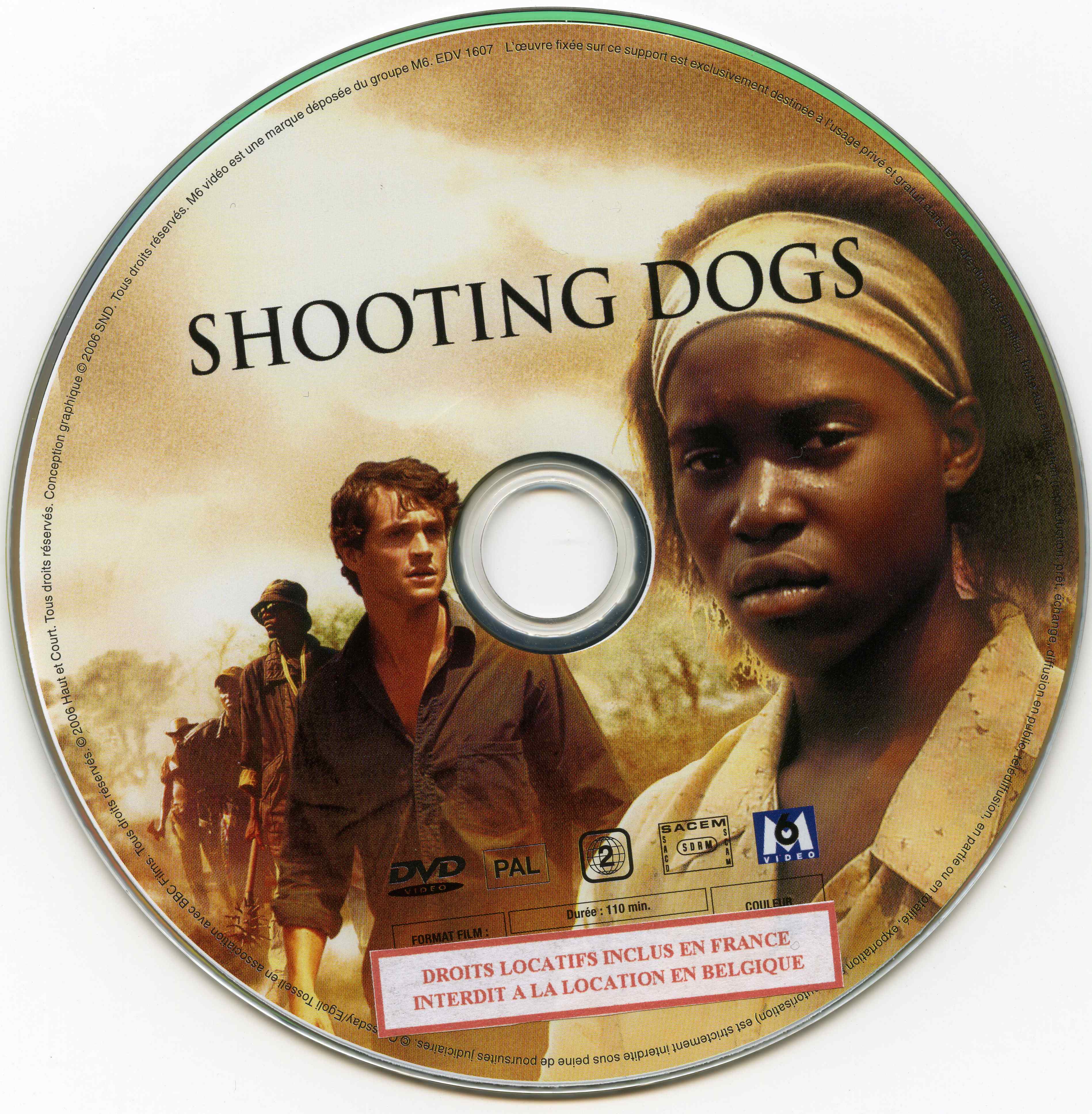 Shooting dogs