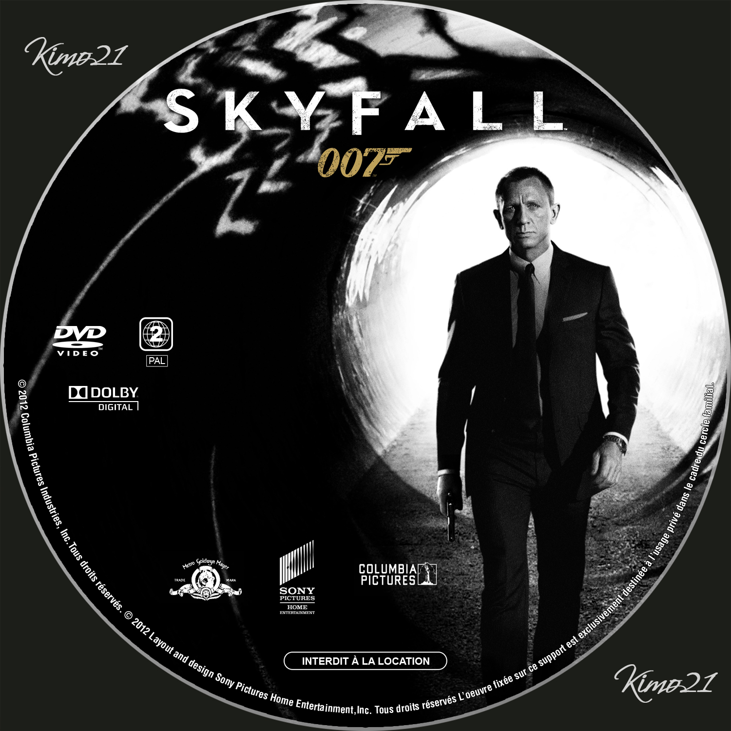 Skyfall custom v2