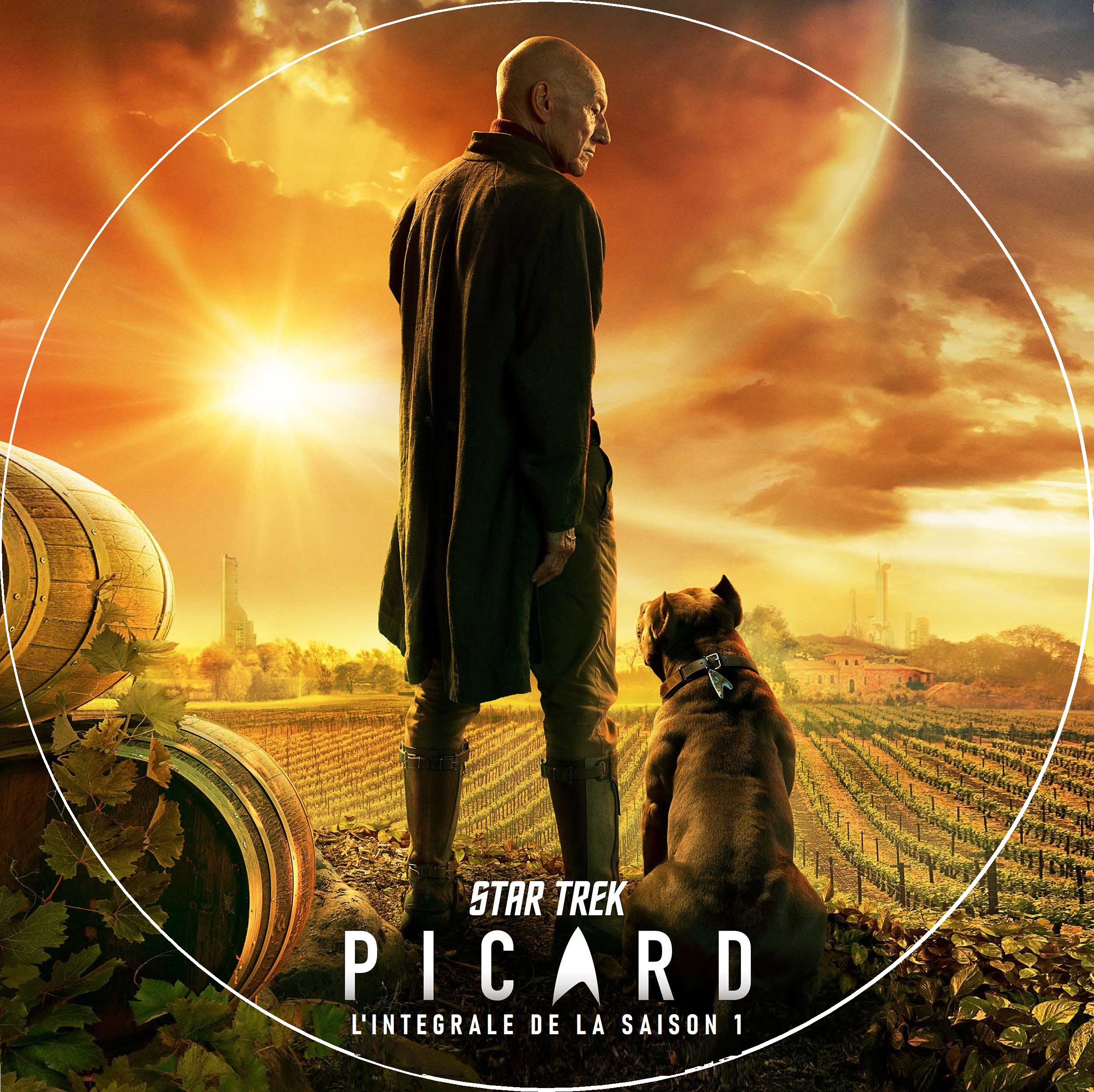Star Trek Picard saison 1 custom