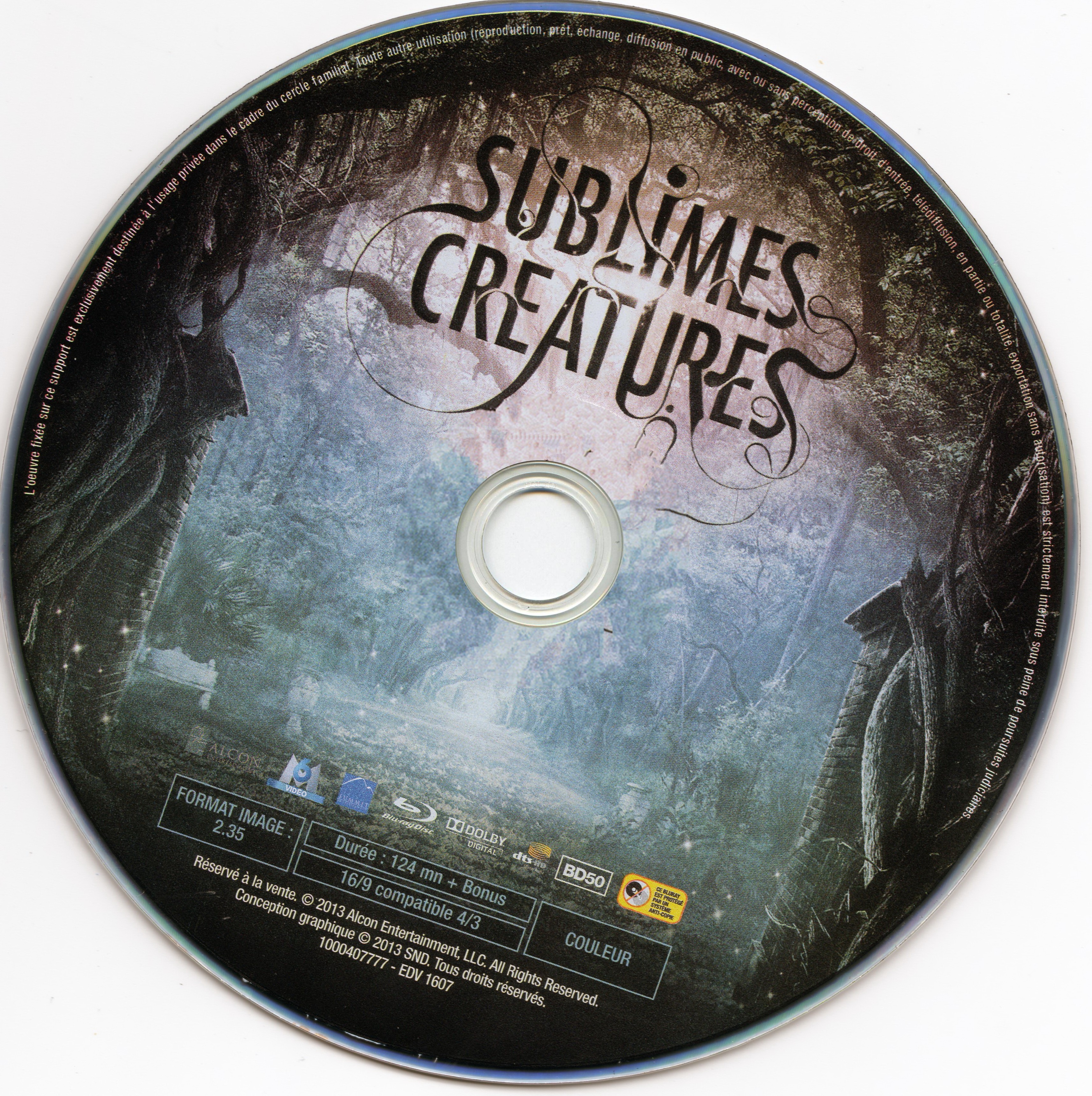 Sublimes cratures (BLU-RAY)