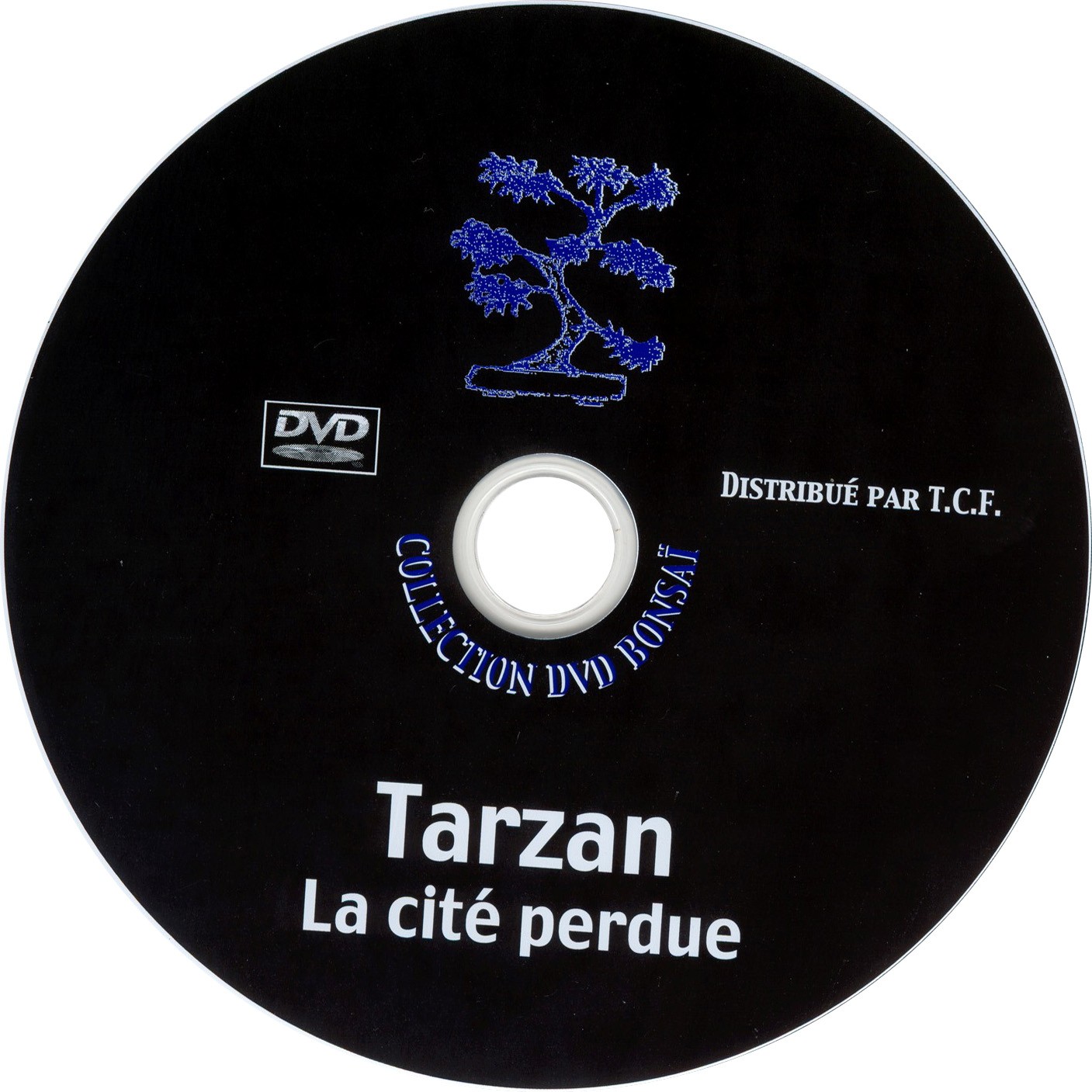 Tarzan la cite perdue