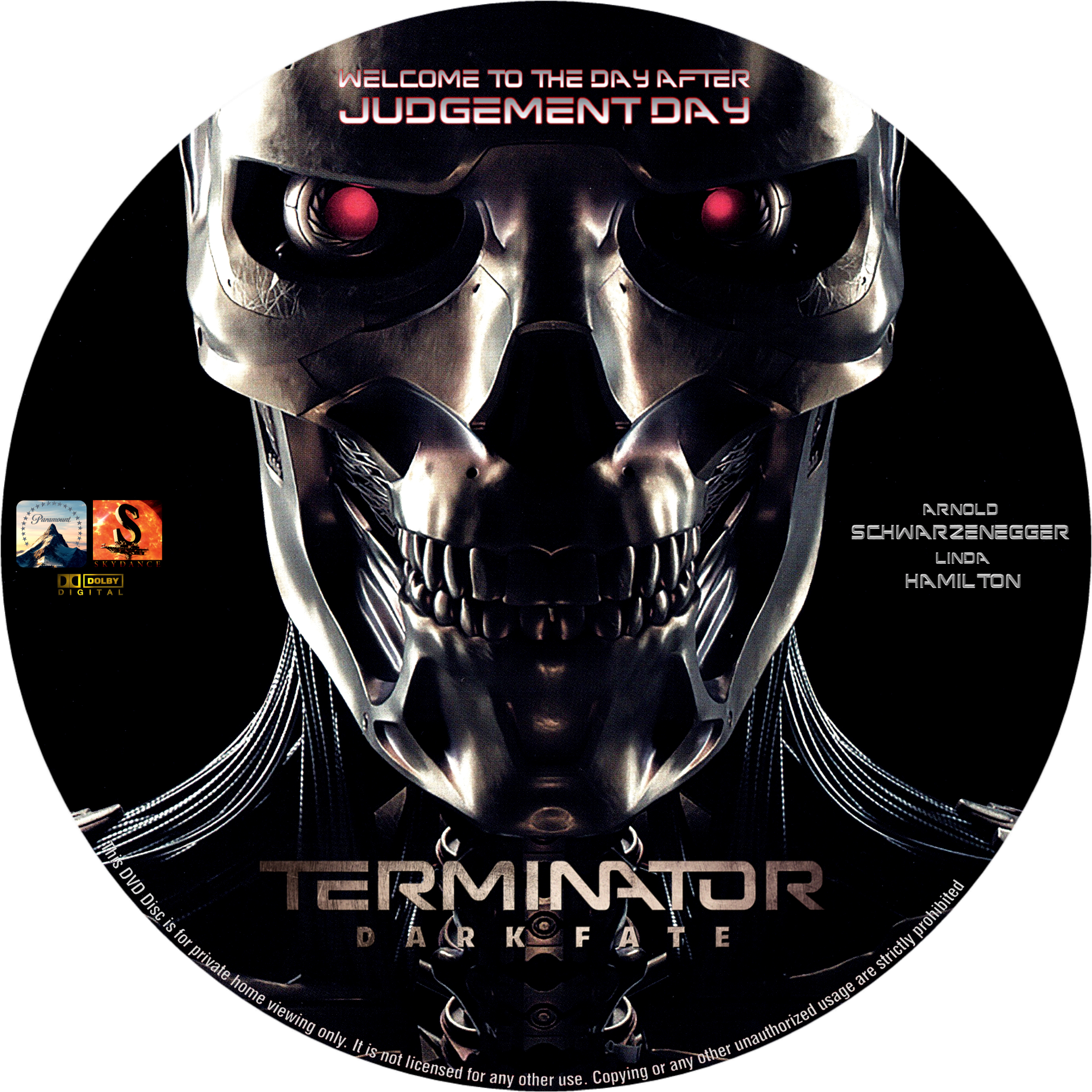 Terminator Dark Fate custom v2
