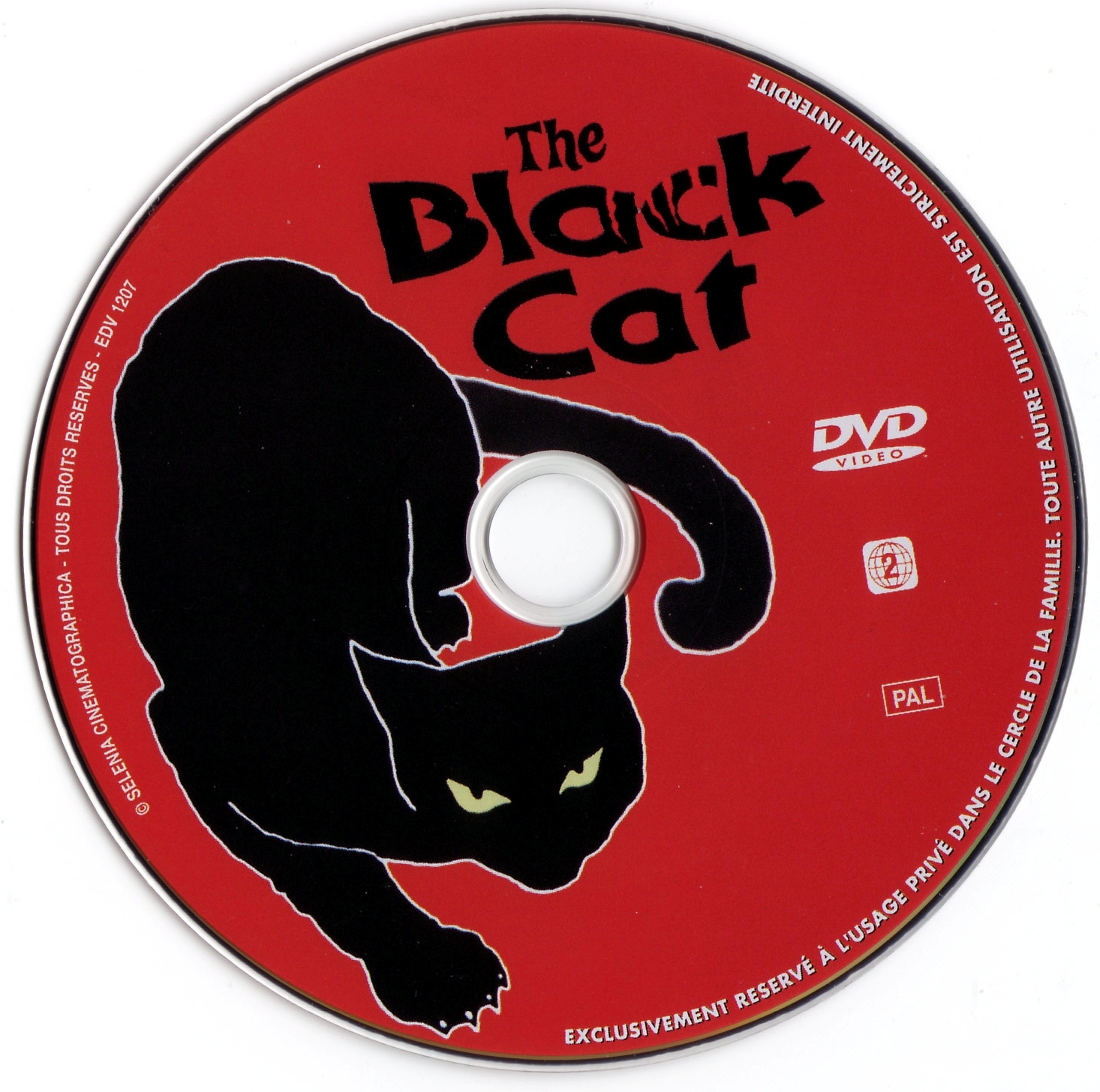 The black cat