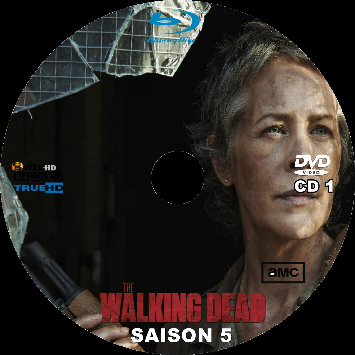 The walking dead saison 5 DISC 1 custom