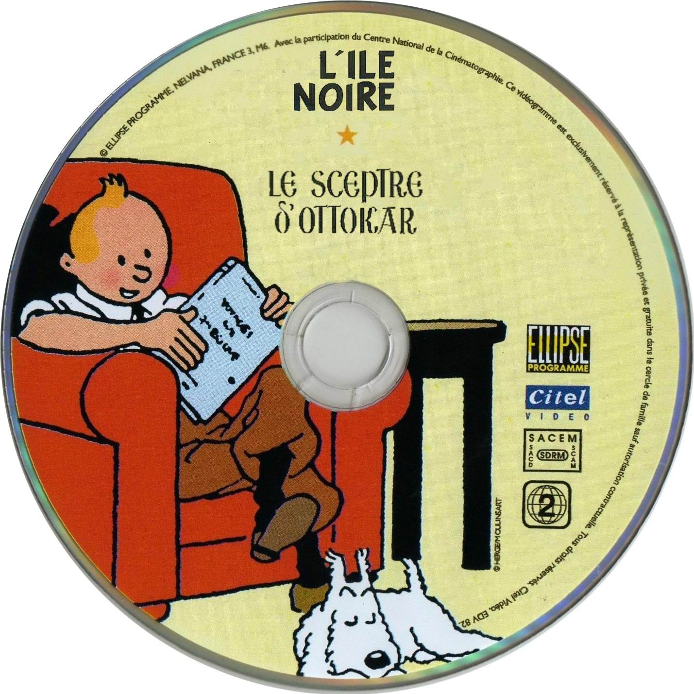Tintin L