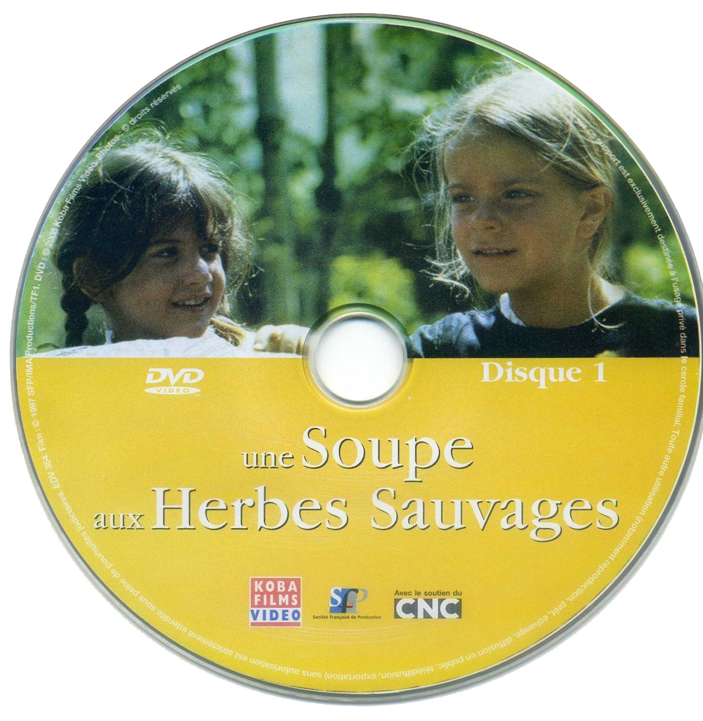Une soupe aux herbes sauvages DISC 1