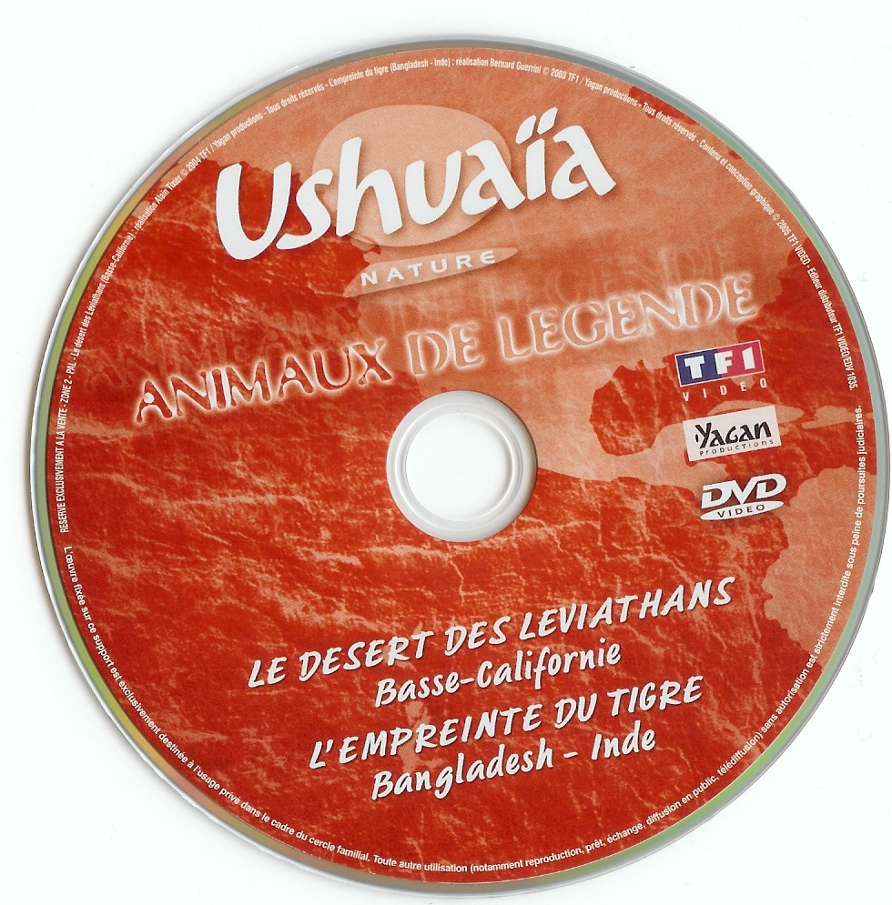 Ushuaia - animaux de lgende