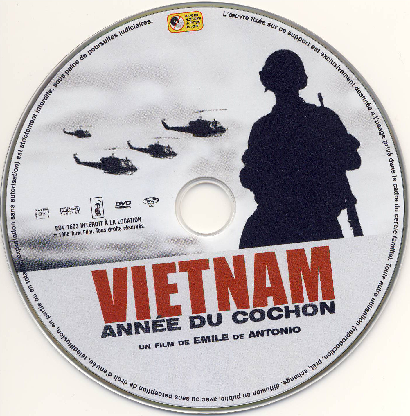 Vietnam anne du cochon