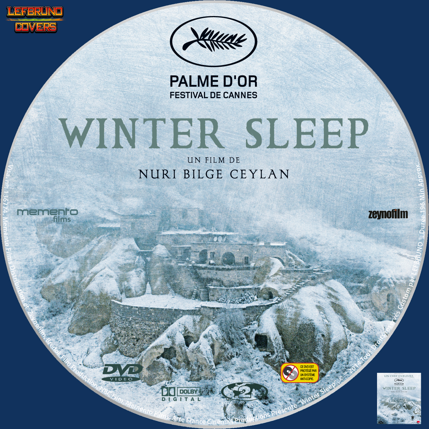 Winter Sleep custom